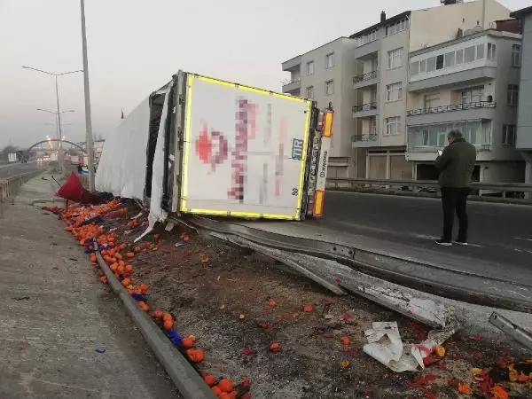 Ordu'da TIR devrildi, sebze- meyveler yola saçıldı
