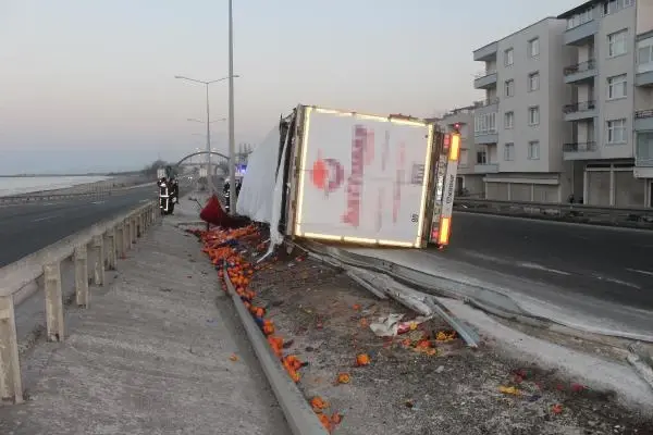 Ordu'da TIR devrildi, sebze- meyveler yola saçıldı
