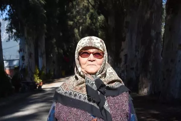 Aşk Yolu'nun 83 yıllık ağaçlarına adlarını yazıyorlar