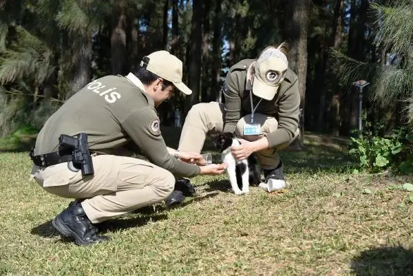 Son dakika haberleri | Hayvanları koruma polisi, sokak hayvanlarını besledi Son dakika haberleri | Hayvanları koruma polisi, sokak hayvanlarını besledi
