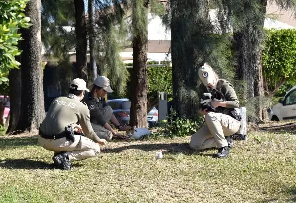 Son dakika haberleri | Hayvanları koruma polisi, sokak hayvanlarını besledi Son dakika haberleri | Hayvanları koruma polisi, sokak hayvanlarını besledi