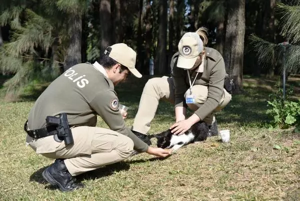 Son dakika haberleri | Hayvanları koruma polisi, sokak hayvanlarını besledi Son dakika haberleri | Hayvanları koruma polisi, sokak hayvanlarını besledi