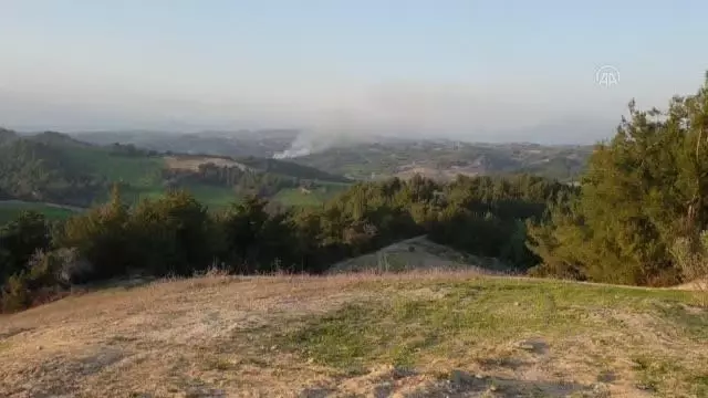 Son dakika haber... Ormanlık alanda çıkan yangın söndürüldü Son dakika haber... Ormanlık alanda çıkan yangın söndürüldü