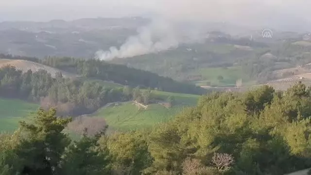 Son dakika haber... Ormanlık alanda çıkan yangın söndürüldü Son dakika haber... Ormanlık alanda çıkan yangın söndürüldü