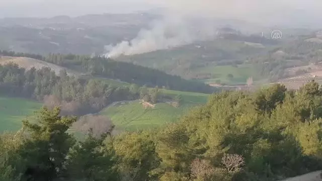 Son dakika haber... Ormanlık alanda çıkan yangın söndürüldü Son dakika haber... Ormanlık alanda çıkan yangın söndürüldü