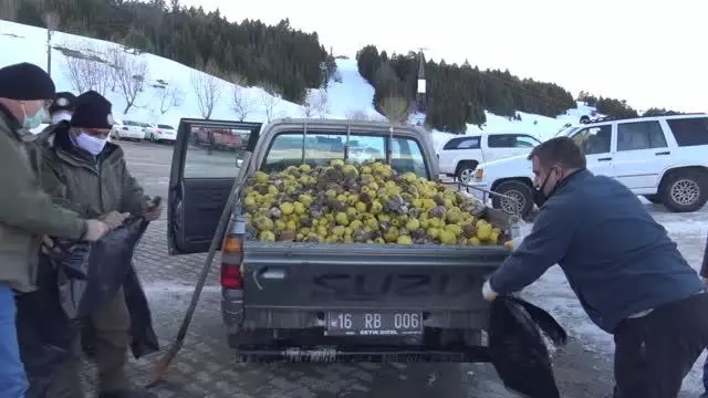 Uludağ'da zirveye yakın alanlara yaban hayvanları için yem bırakıldı Uludağ'da zirveye yakın alanlara yaban hayvanları için yem bırakıldı