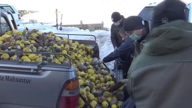 Uludağ'da zirveye yakın alanlara yaban hayvanları için yem bırakıldı Uludağ'da zirveye yakın alanlara yaban hayvanları için yem bırakıldı