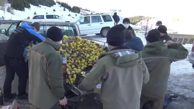 Uludağ'da zirveye yakın alanlara yaban hayvanları için yem bırakıldı Uludağ'da zirveye yakın alanlara yaban hayvanları için yem bırakıldı