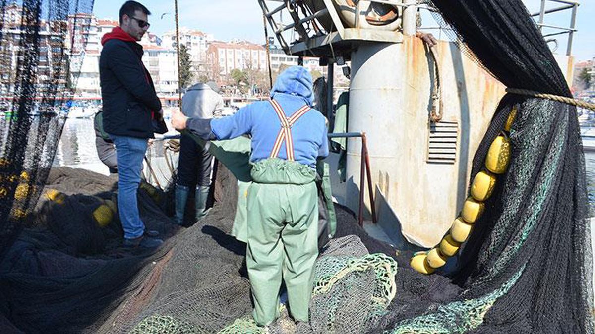 Balıkçıların korkulu rüyası 'Kaykay': 1 ay sonra yine salya ile döndüler