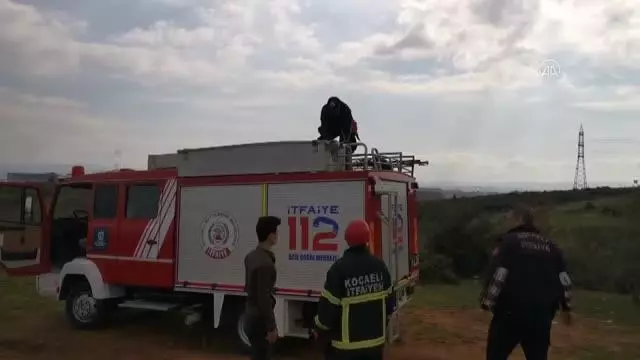 Son dakika! Bataklıkta mahsur kalan 3 kaz itfaiye ekiplerince kurtarıldı Son dakika! Bataklıkta mahsur kalan 3 kaz itfaiye ekiplerince kurtarıldı