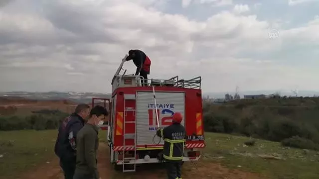Son dakika! Bataklıkta mahsur kalan 3 kaz itfaiye ekiplerince kurtarıldı Son dakika! Bataklıkta mahsur kalan 3 kaz itfaiye ekiplerince kurtarıldı