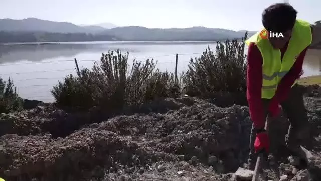 Bu ormandan bal damlayacak, köylüye gelir olacak Bu ormandan bal damlayacak, köylüye gelir olacak