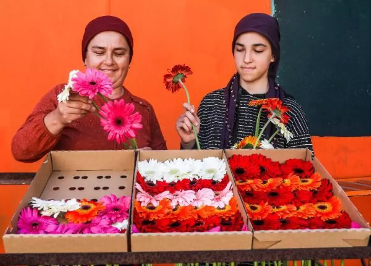 Dünya kadınlarının çiçekleri, Antalyalı kadınlardan
