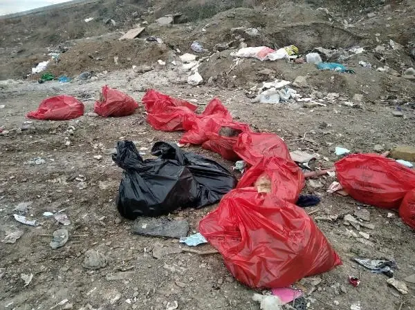 Son dakika haberi! Gölbaşı Belediyesi'nden molozlar arasında bulunan 20 köpek ölüsüyle ilgili suç duyurusu Son dakika haberi! Gölbaşı Belediyesi'nden molozlar arasında bulunan 20 köpek ölüsüyle ilgili suç duyurusu