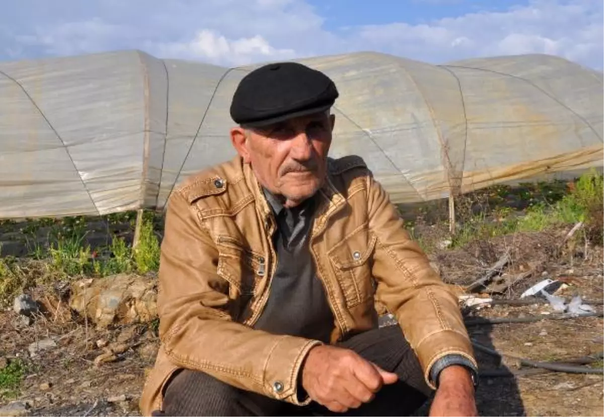 Hırsız, ev sahibini tabancayla başından vurup kaçtı (2)