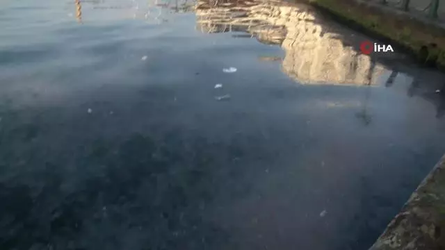 İstanbul'un ünlü sahilinde turistleri şaşkına çeviren manzara İstanbul'un ünlü sahilinde turistleri şaşkına çeviren manzara