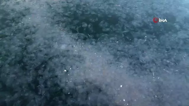 İstanbul'un ünlü sahilinde turistleri şaşkına çeviren manzara İstanbul'un ünlü sahilinde turistleri şaşkına çeviren manzara