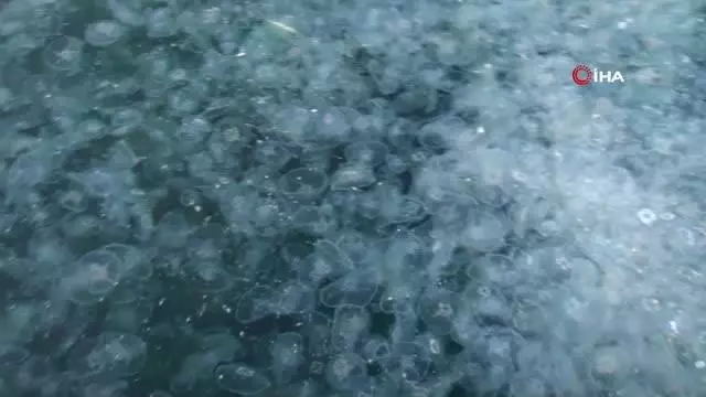 İstanbul'un ünlü sahilinde turistleri şaşkına çeviren manzara İstanbul'un ünlü sahilinde turistleri şaşkına çeviren manzara