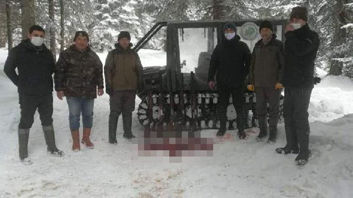 Karacayı vurup parçalara ayıran 7 kişi suçüstü yakalandı