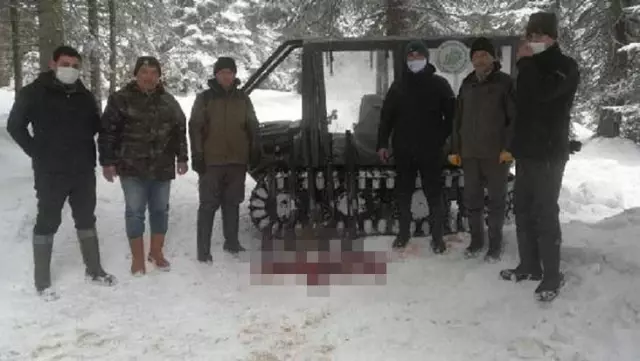 Karacayı vurup parçalara ayıran 7 kişi suçüstü yakalandı Karacayı vurup parçalara ayıran 7 kişi suçüstü yakalandı