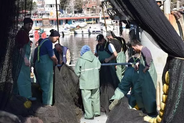 Tekirdağ'da deniz salyası, balıkçılara geçit vermedi Tekirdağ'da deniz salyası, balıkçılara geçit vermedi
