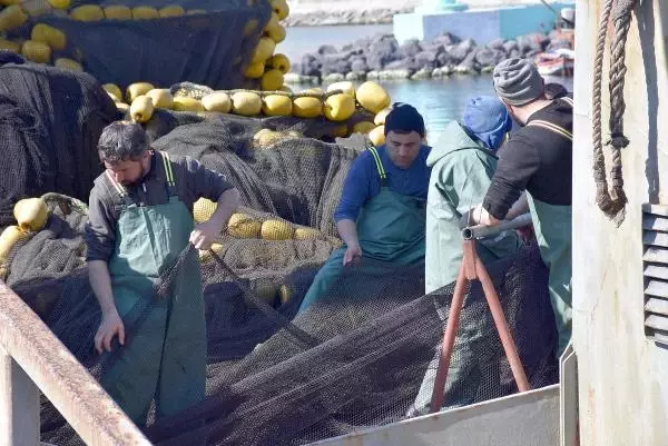 Tekirdağ'da deniz salyası, balıkçılara geçit vermedi Tekirdağ'da deniz salyası, balıkçılara geçit vermedi