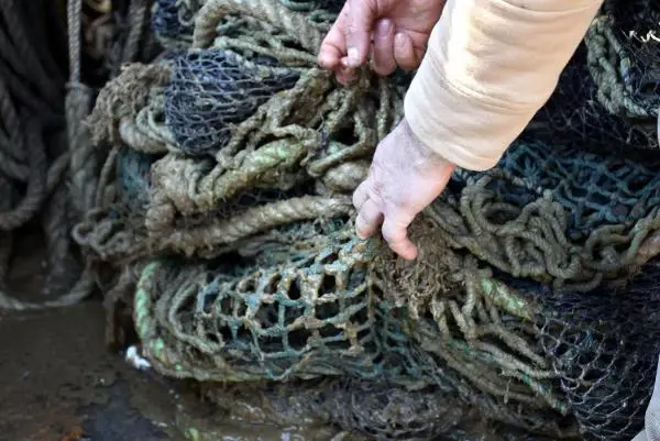 Tekirdağ'da deniz salyası, balıkçılara geçit vermedi Tekirdağ'da deniz salyası, balıkçılara geçit vermedi
