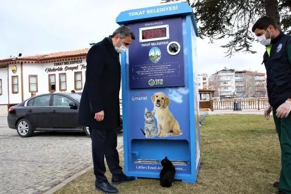 Tokat'ta, sokak hayvanları için parklara 'mamamatik' konuldu Tokat'ta, sokak hayvanları için parklara 'mamamatik' konuldu