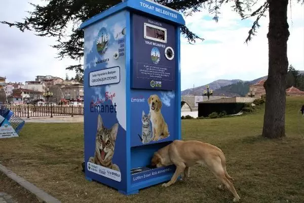 Tokat'ta, sokak hayvanları için parklara 'mamamatik' konuldu Tokat'ta, sokak hayvanları için parklara 'mamamatik' konuldu