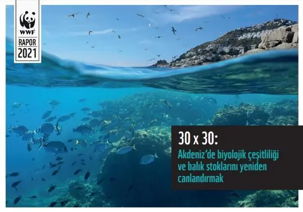WWF: 2030'a kadar Akdeniz'in en az üçte biri korunmalı WWF: 2030'a kadar Akdeniz'in en az üçte biri korunmalı