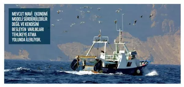 WWF: 2030'a kadar Akdeniz'in en az üçte biri korunmalı WWF: 2030'a kadar Akdeniz'in en az üçte biri korunmalı