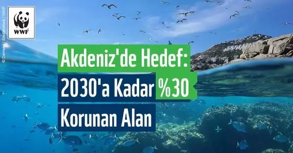 WWF: 2030'a kadar Akdeniz'in en az üçte biri korunmalı WWF: 2030'a kadar Akdeniz'in en az üçte biri korunmalı