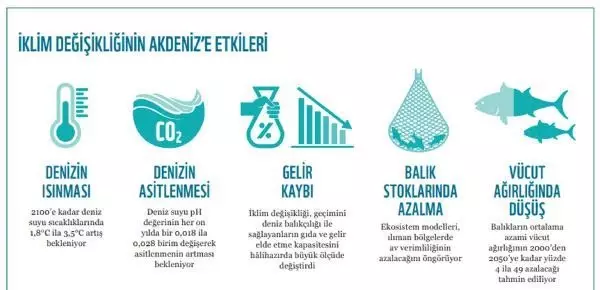 WWF: 2030'a kadar Akdeniz'in en az üçte biri korunmalı WWF: 2030'a kadar Akdeniz'in en az üçte biri korunmalı