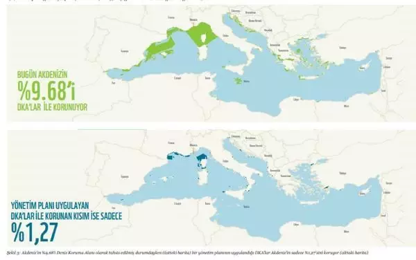 WWF: 2030'a kadar Akdeniz'in en az üçte biri korunmalı WWF: 2030'a kadar Akdeniz'in en az üçte biri korunmalı