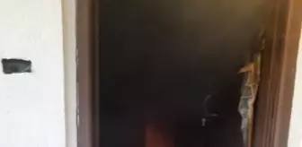 Son dakika haberleri | Bodrum'da depoda kundaklama iddiası