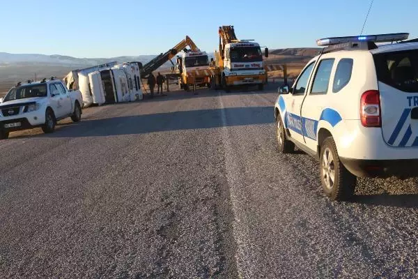 Büyükbaş yüklü TIR devrildi; araziye dağılan hayvanlardan 5'i kayboldu Büyükbaş yüklü TIR devrildi; araziye dağılan hayvanlardan 5'i kayboldu