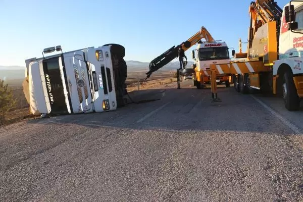 Büyükbaş yüklü TIR devrildi; araziye dağılan hayvanlardan 5'i kayboldu Büyükbaş yüklü TIR devrildi; araziye dağılan hayvanlardan 5'i kayboldu
