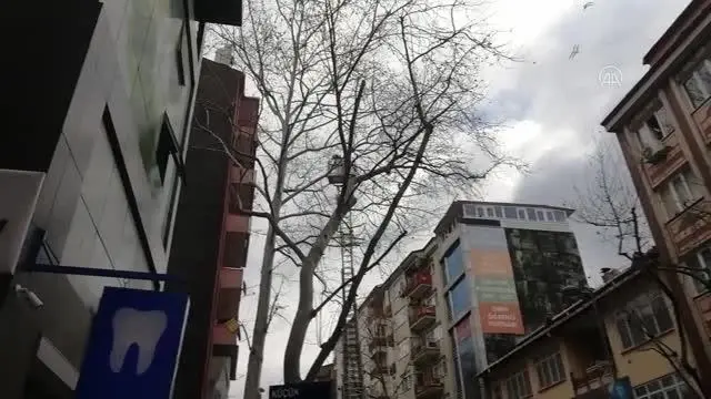 Dalda asılı kalan kargayı itfaiye kurtardı Dalda asılı kalan kargayı itfaiye kurtardı