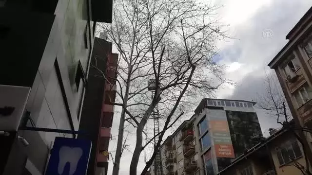 Dalda asılı kalan kargayı itfaiye kurtardı Dalda asılı kalan kargayı itfaiye kurtardı