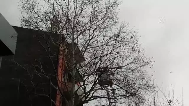 Dalda asılı kalan kargayı itfaiye kurtardı Dalda asılı kalan kargayı itfaiye kurtardı