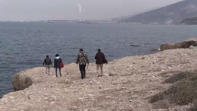 Son dakika haber | İskenderun Körfezi'nde görülen 12 metre uzunluğundaki ölü balina yavrusu kıyıya vurdu Son dakika haber | İskenderun Körfezi'nde görülen 12 metre uzunluğundaki ölü balina yavrusu kıyıya vurdu