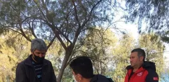 Oltaya takılan 'martı' için seferber oldular