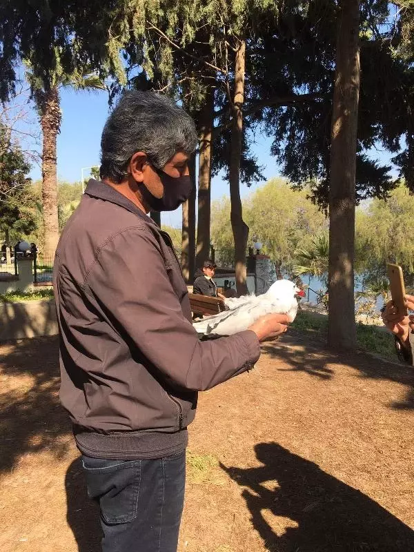 Oltaya takılan 'martı' için seferber oldular Oltaya takılan 'martı' için seferber oldular