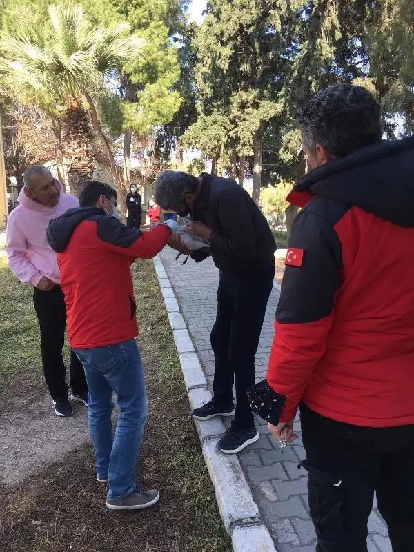 Oltaya takılan 'martı' için seferber oldular Oltaya takılan 'martı' için seferber oldular