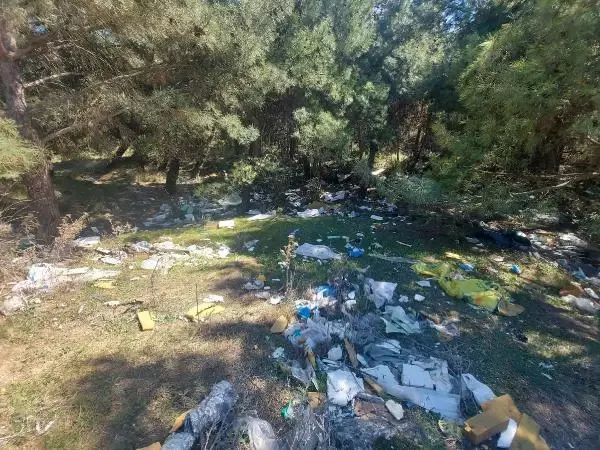 Ormanın yanındaki alan moloz döküm sahası haline geldi Ormanın yanındaki alan moloz döküm sahası haline geldi