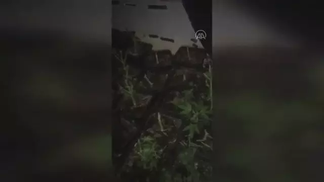 Ümraniye'de uyuşturucu madde ticareti yaptığı gerekçesiyle bir kişi yakalandı Ümraniye'de uyuşturucu madde ticareti yaptığı gerekçesiyle bir kişi yakalandı