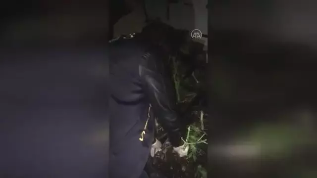 Ümraniye'de uyuşturucu madde ticareti yaptığı gerekçesiyle bir kişi yakalandı Ümraniye'de uyuşturucu madde ticareti yaptığı gerekçesiyle bir kişi yakalandı
