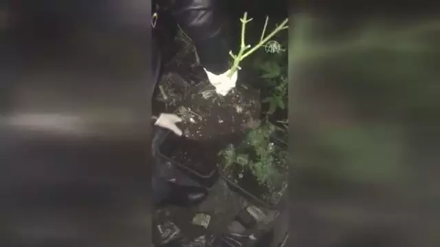 Ümraniye'de uyuşturucu madde ticareti yaptığı gerekçesiyle bir kişi yakalandı Ümraniye'de uyuşturucu madde ticareti yaptığı gerekçesiyle bir kişi yakalandı