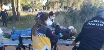 Yoldan çıkan kamyonet ağaçlara çarptı: 2 yaralı