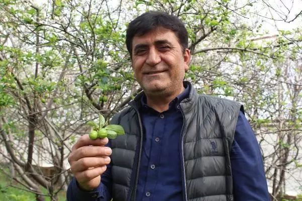 Antalya'nın can eriği tadımlık Antalya'nın can eriği tadımlık